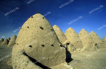 Die traditionellen Lehmhaeuser in den Bauerndoerfer wie Sarouj bei Hama in Zentralsyrien in Syrien im Mittleren Osten in Arabien.