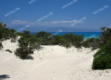 Chrissi Island,  Sandduene am Golden Beach