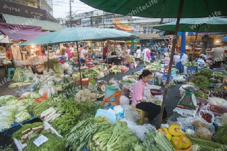 fegetable at the morning Market in Nothaburi in the north of city of Bangkok in Thailand in Southeastasia.