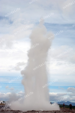 Der S?den Islands, Geysir Strokkur w?hrend eines Ausbruchs, Hakadalur, im "Goldenen Zirkel"