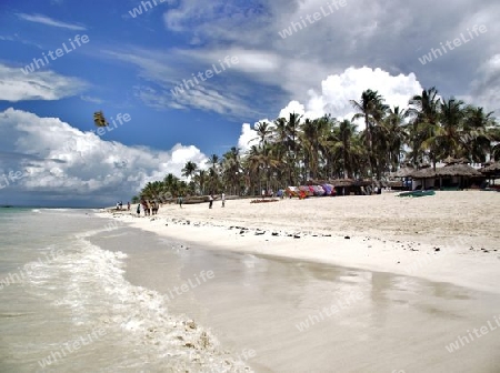 Sonne, Strand, Meer, Wei?, Weiss, Sand, Wei?er Sand, Weisser Sand, Diani, Beach, Kenia, Kenya, Afrika, Urlaub