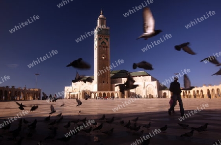 The Hassan 2 Mosque in the City of Casablanca in Morocco , North Africa.