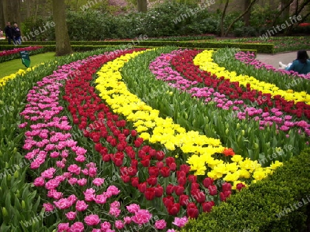 Blumenpark in Holland