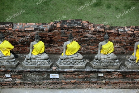 Der Wat Yai Chai Tempel in der Tempelstadt Ayutthaya noerdlich von Bangkok in Thailand.