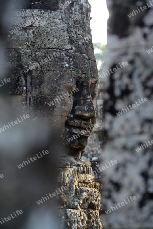 Stone Faces the Tempel Ruin of Angkor Thom in the Temple City of Angkor near the City of Siem Riep in the west of Cambodia.