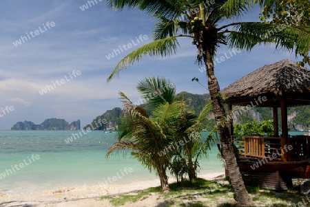 A Beach on the Island of Ko PhiPhi on Ko Phi Phi Island outside of the City of Krabi on the Andaman Sea in the south of Thailand. 