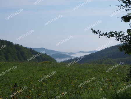 Wolken im Tal 3