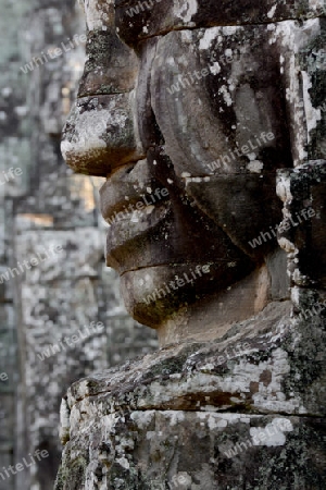 Stone Faces the Tempel Ruin of Angkor Thom in the Temple City of Angkor near the City of Siem Riep in the west of Cambodia.