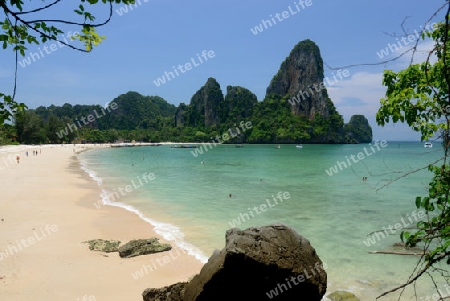 The Hat Railay Leh Beach at Railay near Ao Nang outside of the City of Krabi on the Andaman Sea in the south of Thailand. 