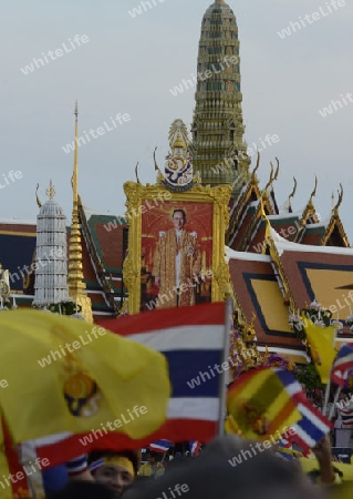 Tausende von Thailaender zelebrieren den Kroenungstag des Koenig Bhumibol auf dem Sanam Luang Park vor dem Wat Phra Kaew in der Stadt Bangkok in Thailand in Suedostasien.  