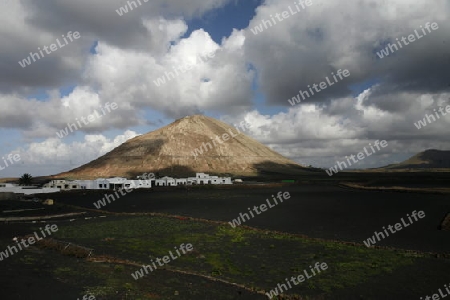 The  Vulkan National Park Timanfaya on the Island of Lanzarote on the Canary Islands of Spain in the Atlantic Ocean. on the Island of Lanzarote on the Canary Islands of Spain in the Atlantic Ocean.
