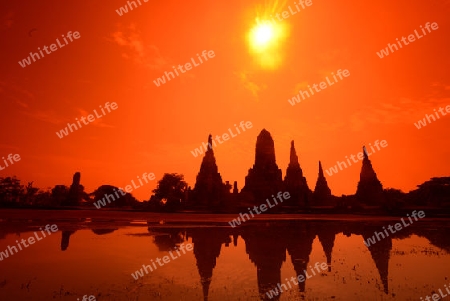 The Wat Chai Wattanaram Temple in City of Ayutthaya in the north of Bangkok in Thailand, Southeastasia.