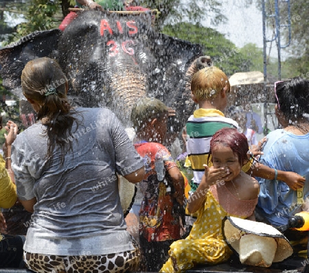 Das Songkran Fest oder Wasserfest zum Thailaendischen Neujahr ist im vollem Gange in Ayutthaya noerdlich von Bangkok in Thailand in Suedostasien.  