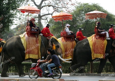 Ein Elephanten Taxi vor einem der vielen Tempel in der Tempelstadt Ayutthaya noerdlich von Bangkok in Thailand.  