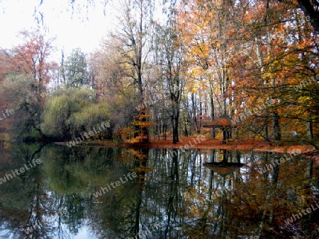 Herbst in Englischer Garten