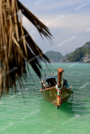 A Beach on the Island of Ko PhiPhi on Ko Phi Phi Island outside of the City of Krabi on the Andaman Sea in the south of Thailand. 