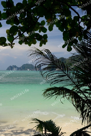 A Beach on the Island of Ko PhiPhi on Ko Phi Phi Island outside of the City of Krabi on the Andaman Sea in the south of Thailand. 