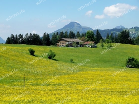 Tiroler Landschaft