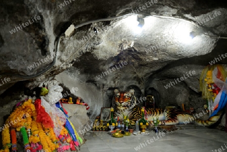 The Temple Wat Tham Seau outside the City centre of Krabi on the Andaman Sea in the south of Thailand. 