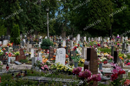  Nationalfriedhof Martin - Slowakei