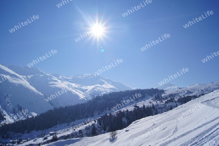 Winter Landschaft