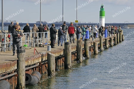 Angler auf der Mole angeln nach Heringen  im alten Hafen von Stralsund ,  Unesco Weltkulturerbe, Mecklenburg Vorpommern, Deutschland, Europa , oeffentlicher Grund