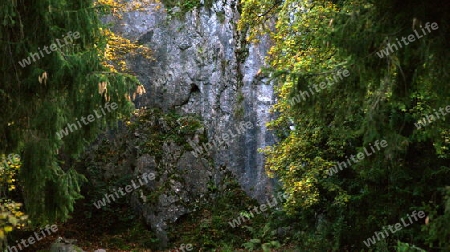 Felsen im Harz