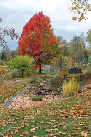 Herbstfarben