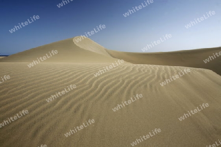 the Sanddunes at the Playa des Ingles in town of Maspalomas on the Canary Island of Spain in the Atlantic ocean.