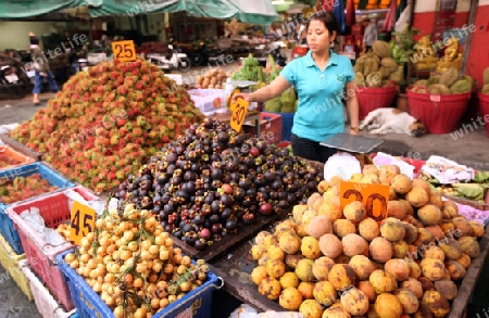 Fruechte auf dem Talat Warorot Markt in Chiang Mai in der Provinz Chiang Mai im Norden von Thailand in Suedostasien.