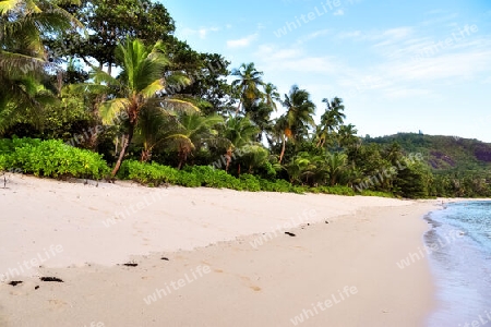 Sunny day beach view on the paradise islands Seychelles.