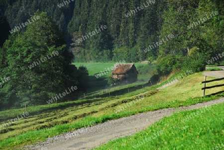 Typische Heuh?tte im Schwarzwald