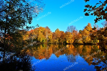 Herbst am Weiher