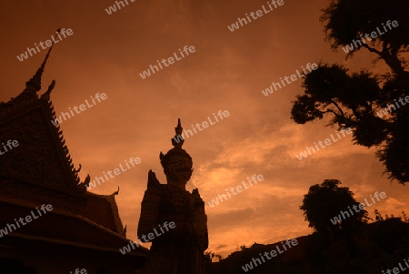 Der Wat Arun Tempel in der Stadt Bangkok in Thailand in Suedostasien.