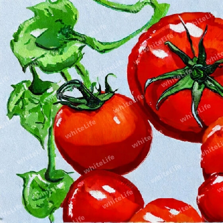 Tomaten