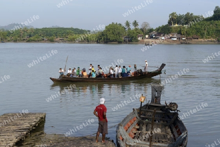 the landscape in a village near the city of Myeik in the south in Myanmar in Southeastasia.