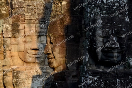 Stone Faces the Tempel Ruin of Angkor Thom in the Temple City of Angkor near the City of Siem Riep in the west of Cambodia.