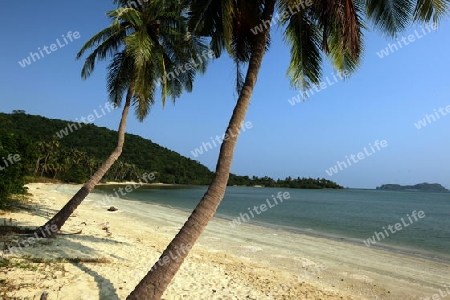 Ein Strand bei Chumphon an der Schiffsstation fuer die weiterfahrt zur Insel To Tao im Golf von Thailand im Suedwesten von Thailand in Suedostasien. 