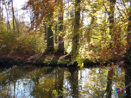 Herbst in Englischer Garten