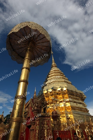 Der Chedi der Tempel Anlage des Wat Phra That Doi Suthep bei Chiang Mai in der Provinz Chiang Mai im Norden von Thailand in Suedostasien.