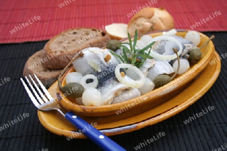 Rollmops