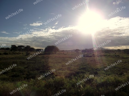 Landschaft, Tsavo, Nationalpark, Natur, Kenia, Kenya, Afrika