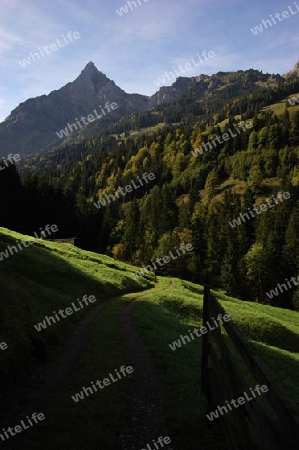 Herbstlandschaft