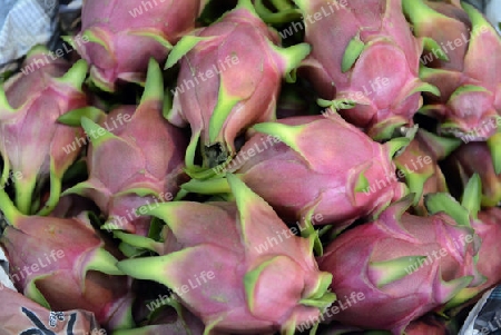 Rote Pitahaya oder Drachenfrucht Fruechte auf dem Day Markt in der Hauptstadt Phuket Town auf der Insel Phuket im sueden von Thailand in Suedostasien.