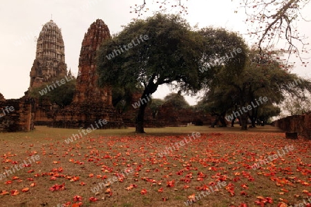 Der Wat Ratburana Tempel in der Tempelstadt Ayutthaya noerdlich von Bangkok in Thailand. 