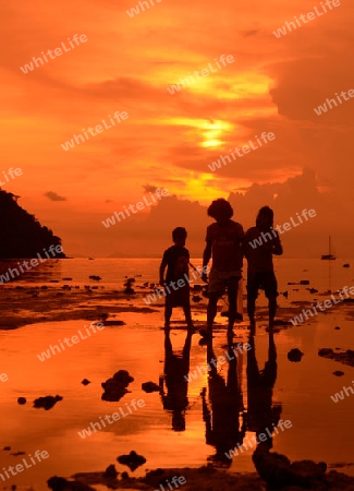 A Beach on the Island of Ko PhiPhi on Ko Phi Phi Island outside of the City of Krabi on the Andaman Sea in the south of Thailand. 