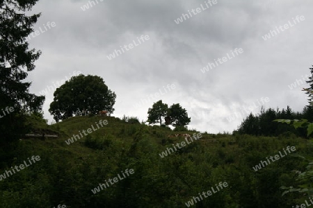 Bergwanderung