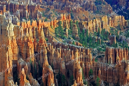 Felsformationen und Hoodoos, Bryce Canyon bei Sonnenaufgang, Bryce Point, Utah, Suedwesten, USA