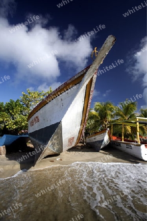 Suedamerika, Karibik, Venezuela, Isla Margarita, Pedro Gonzalez, Playa Pedro Gonzalez, Beach, Strand, Bucht, Fischerdorf, Fischerboot, Holzboot, Palmen, Ferien, Traumstrand, Idylle, Landschaft