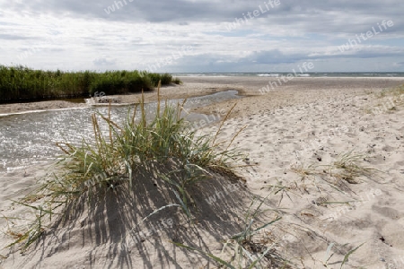 Naturstrand an der Ostsee